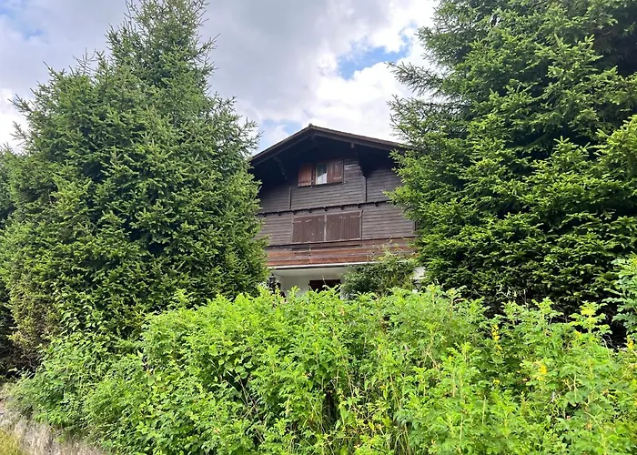 Chalet Hildegard