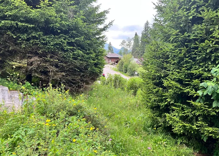 Chalet Hildegard