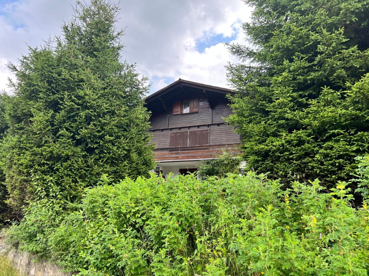Hildegard Chalet *